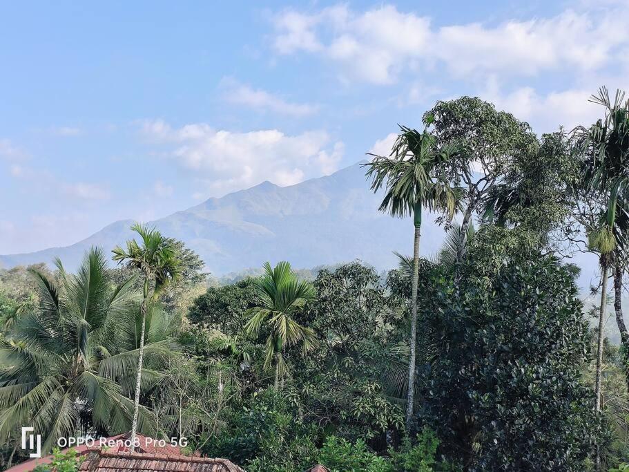 Villa Peppercorn Cottage, Vythiri. Vythiri